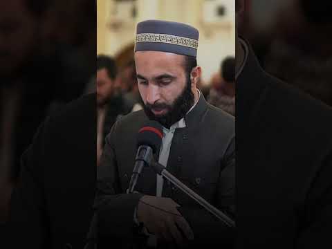 Shorts سورة الكهف القارئ سوران صديق 