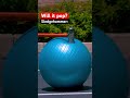 What pops an exercise ball? 🤔