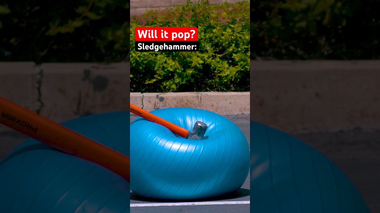 What pops an exercise ball? 🤔