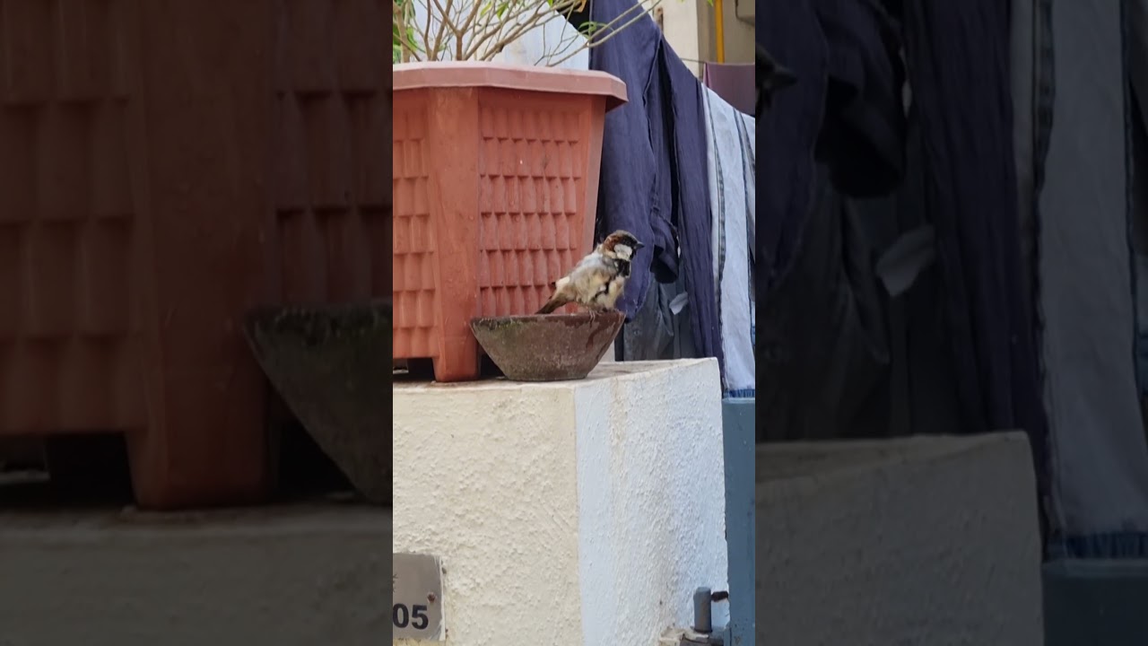 just winter Bath Routine.  Time pass With Nature & Beard's 