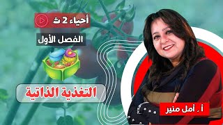 الأحياء للصف الثاني الثانوي |  التغذية الذاتية