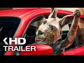 DIE KÄNGURU-CHRONIKEN Trailer German Deutsch (2020) Exklusiv