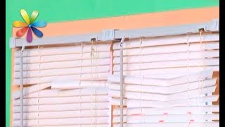 Какие бывают жалюзи и как выбрать качественные? Советы эксперта (повтор) Какие бывают жалюзи и как выбрать качественные? Советы эксперта (повтор)