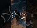 انا عظمه انا ثابت انا جامد انا هضبه 