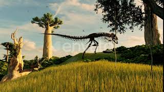 Amazon Forests and Dinosaur Skeletons | Motion Graphics - Envato elements