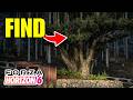 How To Find Kitayama Big Daisugi in Forza Horizon 6