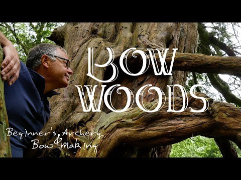 Bow Woods. How I Identify Trees for my Longbows. Harvesting Elm for Bow Staves