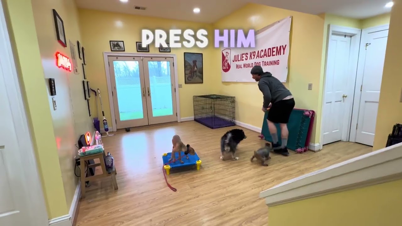 Снуп учится команде 