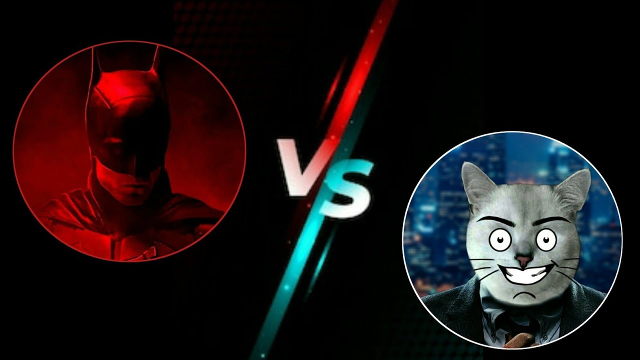 Batman v/s Catman 😱