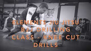 BJJ Drilling Class - Knee Cut to Leg Drag Guard Passing Drills