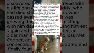 Shelter Dog Crying for His Missing Friend—Until One Man Understood #Dog #AnimalRescue #Shorts