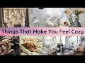 Top Things That Will Make You Feel Cozy