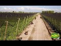 Mendoza: “El Andaluz”, pasión y tecnología en la producción de tomates (#761 2018-03-03)