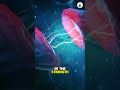 How Does Your Brain Store And Retrieve Memories The Science Explained ЁЯзаЁЯзаЁЯзаЁЯзаЁЯза How Does Your Brain Store And Retrieve Memories The Science Explained ЁЯзаЁЯзаЁЯзаЁЯзаЁЯза