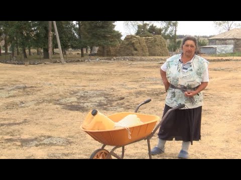 სათვალე - 213