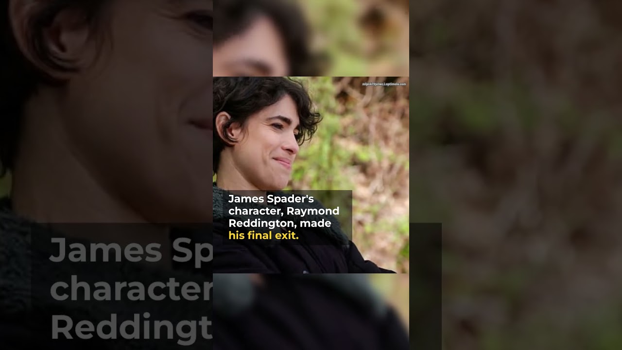 'The Blacklist' Concludes With Overdue Series Finale 