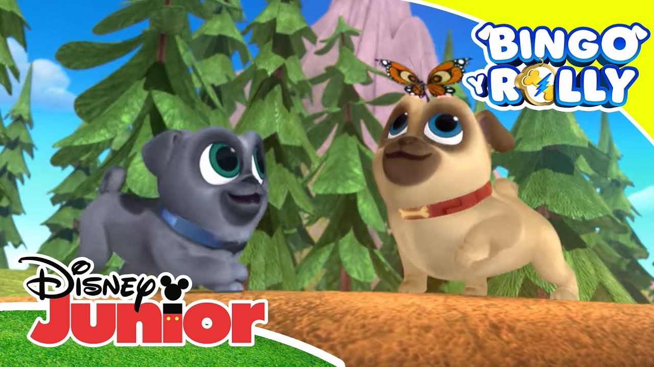 Bingo y Rolly: Disney Junior Music Party - ''Es como ir volando ...
