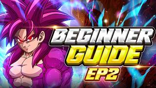THE NEXT STEPS! THE 2026 DOKKAN BATTLE BEGINNER'S GUIDE, EPISODE 2! | DBZ: Dokkan Battle