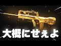 〇〇時間かけて迷彩コンプした男の末路【CoD:MW3 #4】