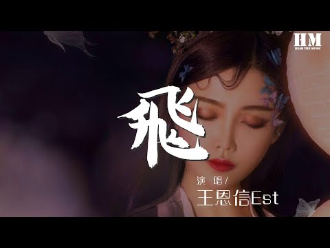 王恩信Est - 飛『風浪沒平息 我宣告奔跑的意義』【動態歌詞Lyrics】