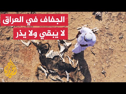 الجفاف يدفع عشرات الآلاف للنزوح من منطقة الأهوار العراقية