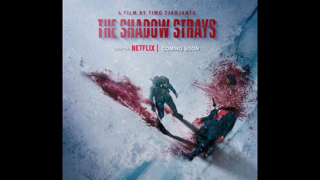 The shadow strays movie/film review in Hindi || movie explained 