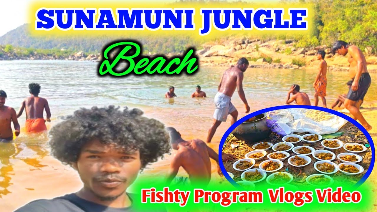Sunamuni Jungle Beach🏖️ | Best Picnic spot@DDHansdahOfficial 