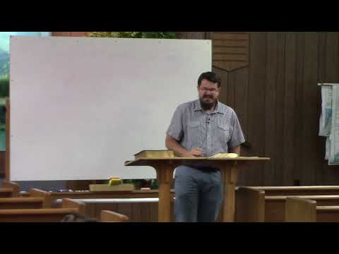 Video preview