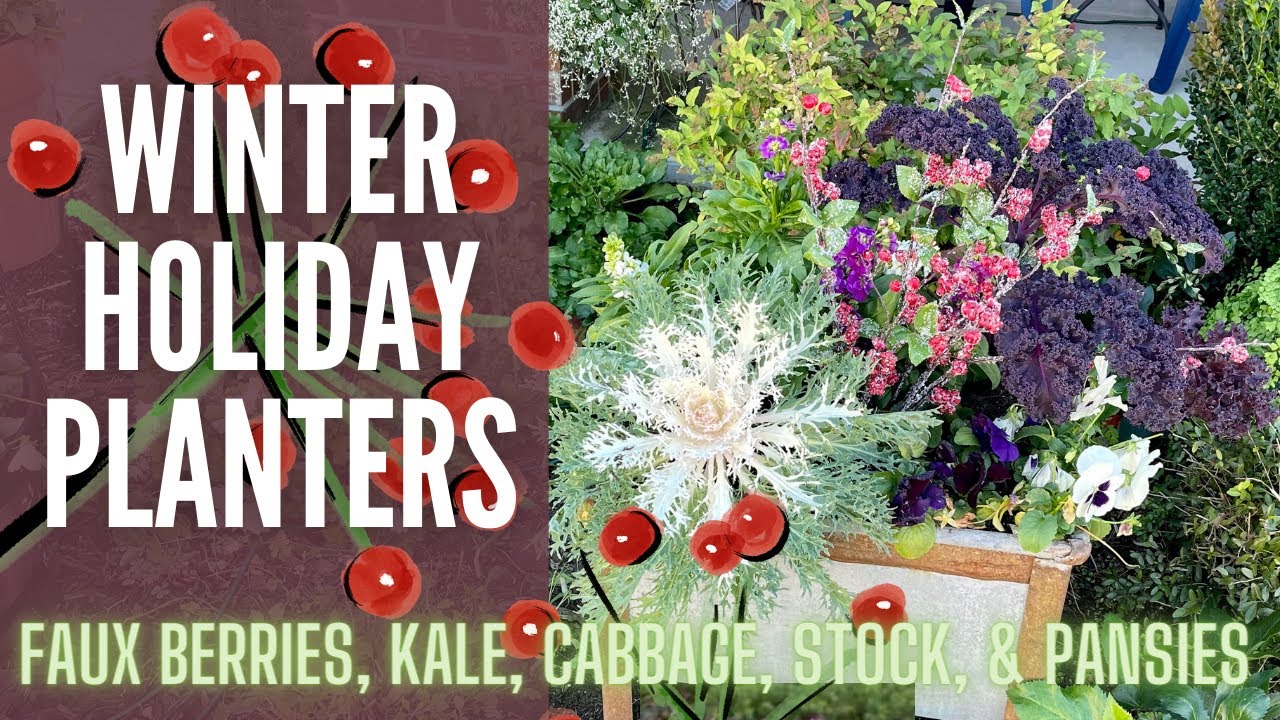 Planting Winter Planters 🌹🌹🌹 What To Plant In The Winter