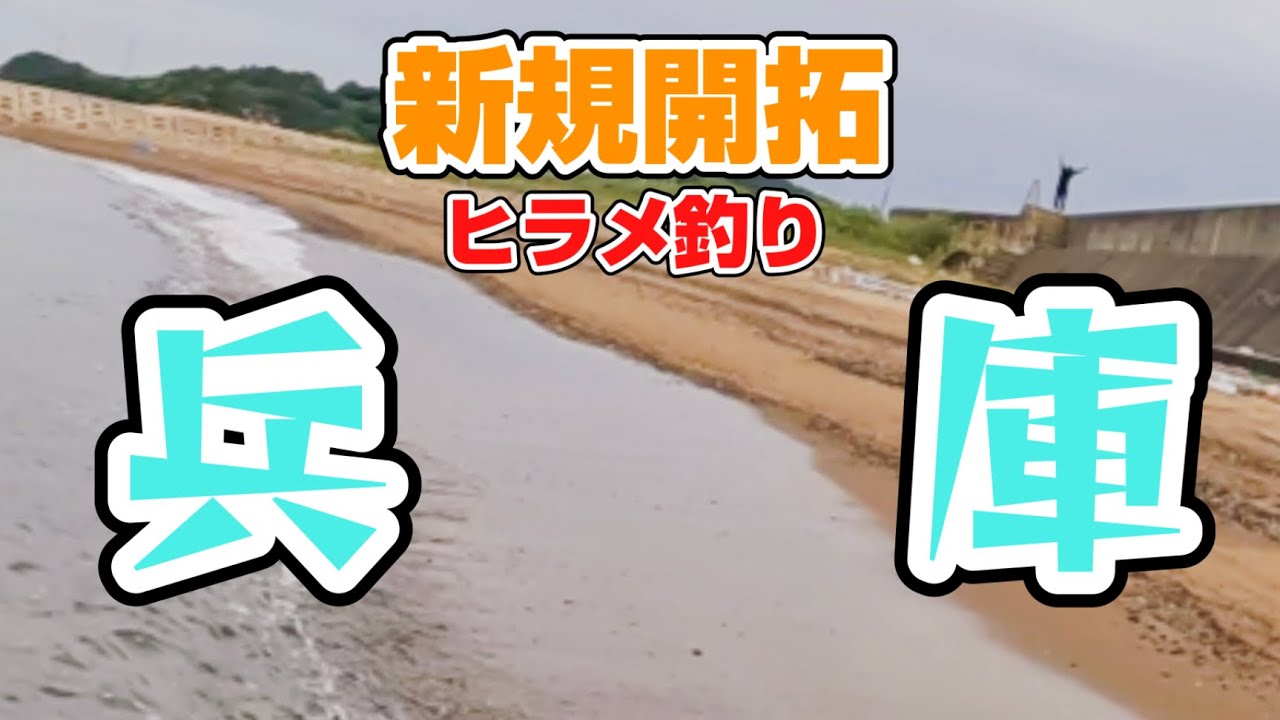 【ヒラメ釣り】【兵庫サーフ】Sシェフの座布団ヒラメを求めて!!瀬戸内新規開拓!!
