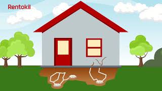 Rentokil Soil Treatment | Rentokil Pest Control Malaysia