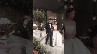신랑 김현중 신부 조은진 결혼식 마무리 행진나이트 별이빛나라