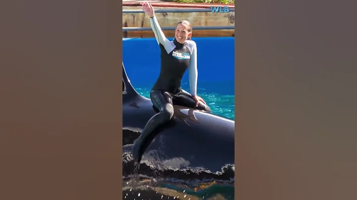 Dawn Brancheau, SeaWorld Trainer Killed By a Whale