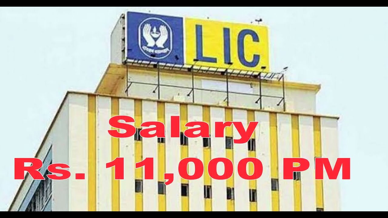 LIC Vadodara Department Recruitment 2022  - LIC Agent Jobs