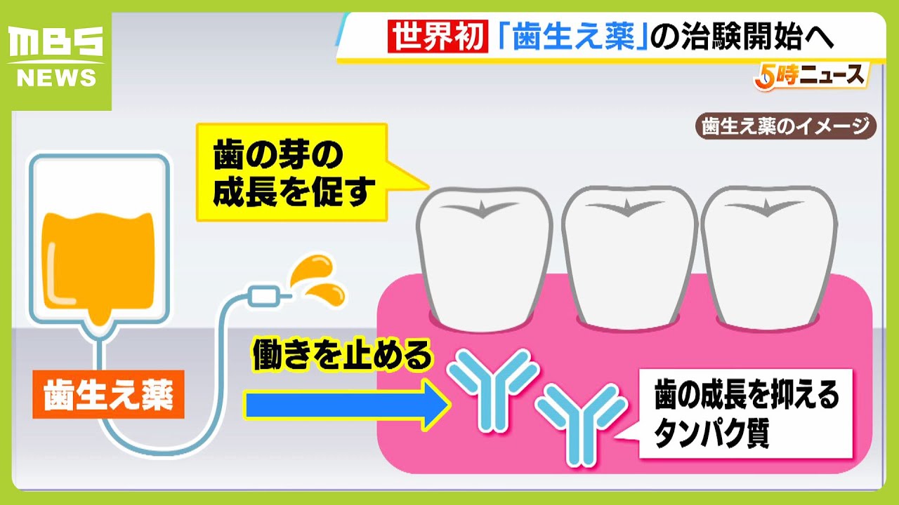 眉毛が生える薬 – 眉毛 生やす 育毛剤 | 「眉毛 育毛剤」の人気商品一覧 – QUUTE