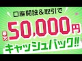 初心者がLINE FXやってみた！やり方、スキャルピングの稼ぎ方やキャンペーン