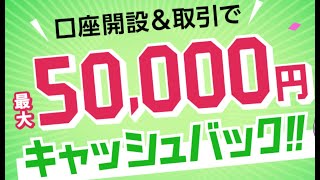 初心者がLINE FXやってみた！やり方、スキャルピングの稼ぎ方やキャンペーン