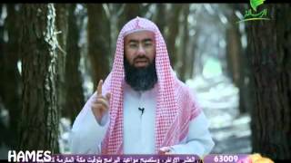 مشاهد 3 - الحلقة 23 - 23 / 9 / 1433هـ |