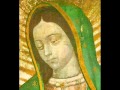 The Amazing and Miraculous Image of Our Lady of Guadalupe (full length)