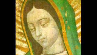 Niezwykły i cudowny obraz Matki Bożej z Guadalupe (pełna długość)