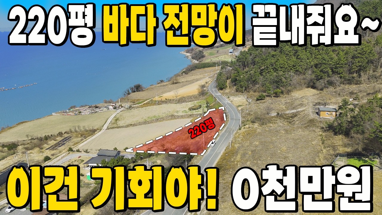 바닷가 대박 토지! 이건 횡재 놓치지 마세요~ 뭘 해도 될 땅 매매~ 몽땅 221평