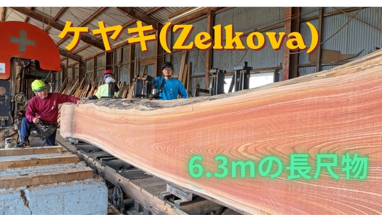 Vol.18 ケヤキの製材 Milling Japanese Zelkova - YouTube