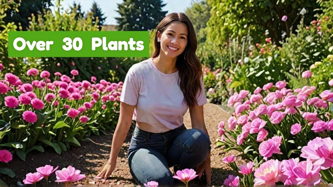 The Unbelievable Transformation of My Yard