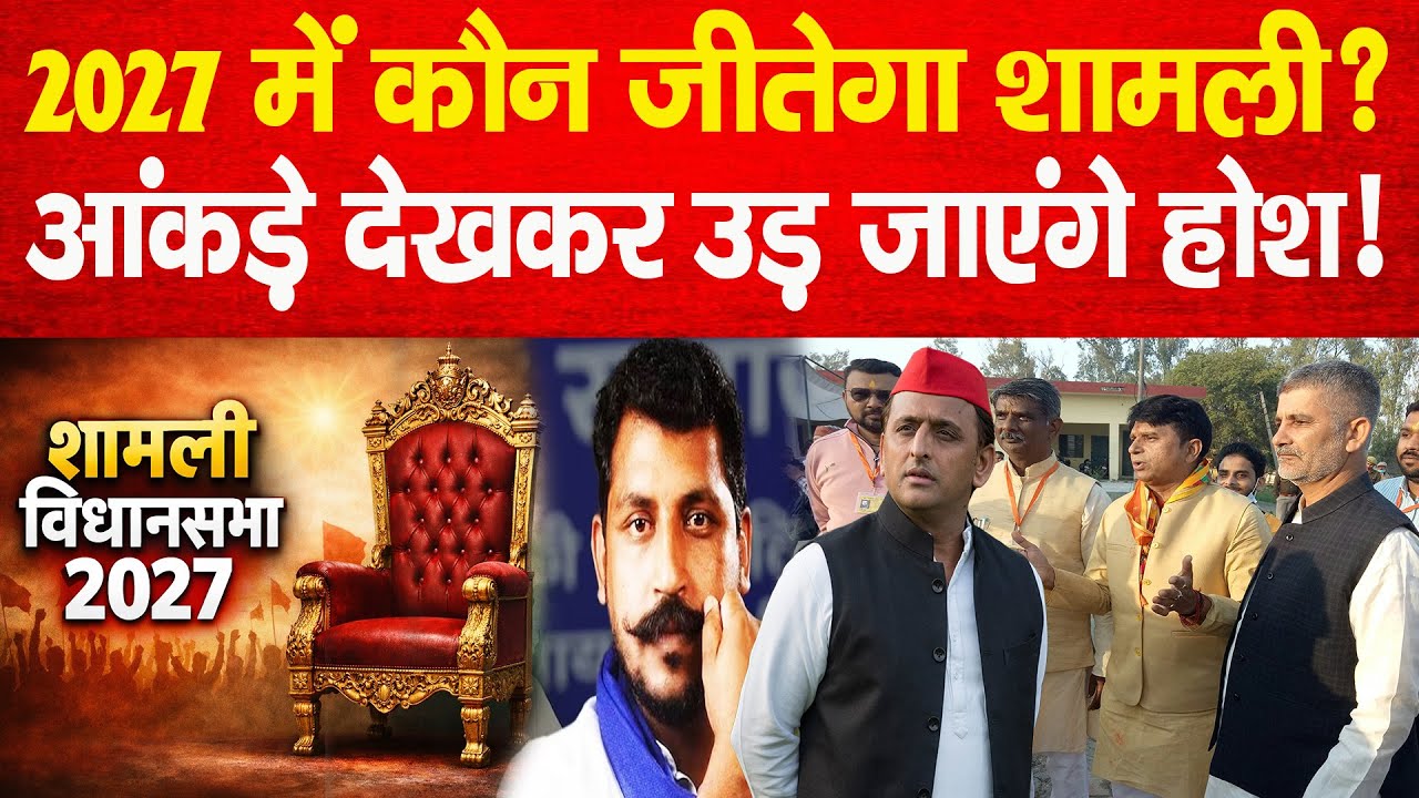 2027 में कौन जीतेगा Shamli? आंकड़े देखकर उड़ जाएंगे होश! RLD | BJP | ASP | SAPA | BSP | News 80