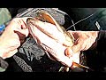 ЖЕНА ОБЛОВИЛА!!! Ловля щуки осенью на спиннинг! Рыбалка 2019