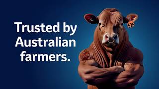 Ask for Allflex l Allflex Cattle Tags l Trust