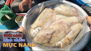 Tập 20 - nghề lưới ba lớp dính đa hệ của ngư dân