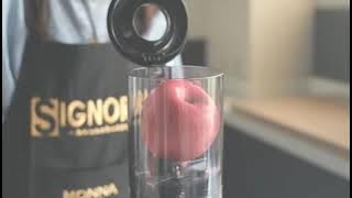 Big Mouth Slow Juicer Signora