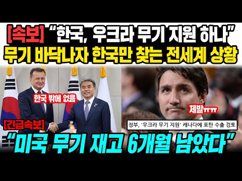 [해외반응] <strong>속보</strong> &amp;quot;한국, 우크라 무기 지원 하나&amp;quot; 무기 바닥나자 한국만 찾는 전 <strong>세계</strong> 상황 미국 무기 재고 6개월 남았다  #일본반응 #외국반응 #중국반응