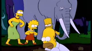 Homer Simpson and Stampy the Elephant